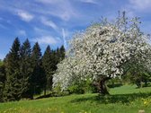 Parduodami sklypai. Ieškantiems geriausio ! - nuotraukos Nr. 19