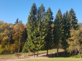 Parduodami sklypai. Ieškantiems geriausio ! - nuotraukos Nr. 18