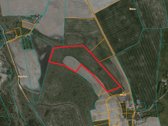 9.2041 Ha Žemės Sklypas Širvintų R. Sav., - nuotraukos Nr. 4