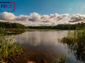 Parduodamas 4,19 Ha Sklypas Prie Ežero - nuotraukos Nr. 5