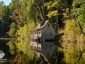 Parduodamas Senolių Parkas (8 ha). Sklypas su