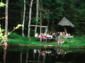 Parduodamas Senolių Parkas (8 ha). Sklypas su - nuotraukos Nr. 4