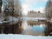 Parduodamas Senolių Parkas (8 ha). Sklypas su - nuotraukos Nr. 6