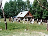 Parduodamas Senolių Parkas (8 ha). Sklypas su - nuotraukos Nr. 2