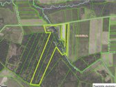 Parduodamas Senolių Parkas (8 ha). Sklypas su - nuotraukos Nr. 9