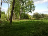 Sklypas sodybai prie ežero		 - nuotraukos Nr. 3