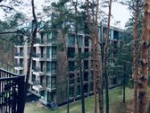Namai Šalia Nemuno, apsupti gamtos ramybės ir - nuotraukos Nr. 69