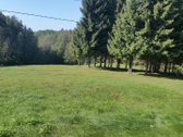 Antakalnyje, Pavilnių regioniniame parke - nuotraukos Nr. 13