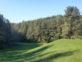 Antakalnyje, Pavilnių regioniniame parke - nuotraukos Nr. 14