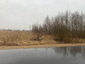 Parduodamas 10,2a namų valdos žemės sklypas. - nuotraukos Nr. 8