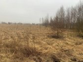 Parduodamas 10,2a namų valdos žemės sklypas. - nuotraukos Nr. 6