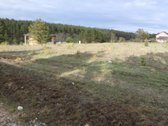 Vaizdingoje ir ramioje vietovėjė prie Neries - nuotraukos Nr. 16