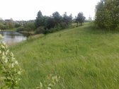 Sklypas Su Leidymu Statybai Ir Poilsio - nuotraukos Nr. 4