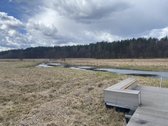 Parduodamas namų valdos sklypas ramioje - nuotraukos Nr. 2