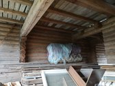 Parduodamas rąstinis namas. Sklypas ribojasi - nuotraukos Nr. 7