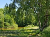 Parduodamas kitos paskirties (vienbučių ir - nuotraukos Nr. 7