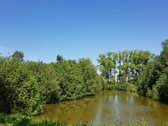 Parduodamas kitos paskirties (vienbučių ir - nuotraukos Nr. 10