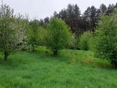 Parduodami du besiribojantys sklypai
