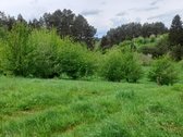 Parduodami du besiribojantys sklypai - nuotraukos Nr. 2