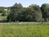 Sklypas randasi gražioje vietoje. Atokiau nuo - nuotraukos Nr. 2