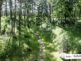 Puikaus sklypo ar sodybos beieškantiems - nuotraukos Nr. 12