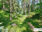 Puikaus sklypo ar sodybos beieškantiems - nuotraukos Nr. 13