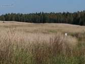 1,7618 ha sklypas Vabalių k. su galiojančiu - nuotraukos Nr. 2