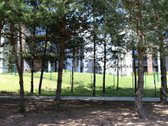 Nuomojamas naujai įrengtas 2k., butas - nuotraukos Nr. 17