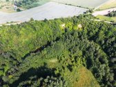 Parduodami du žemės ūkio paskirties žemės - nuotraukos Nr. 2