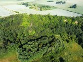 Parduodami du žemės ūkio paskirties žemės - nuotraukos Nr. 5