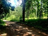 Parduodama sodyba vos 50 metrų nuo Keležerių - nuotraukos Nr. 15