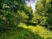 Parduodama sodyba vos 50 metrų nuo Keležerių - nuotraukos Nr. 16