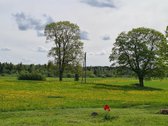 Parduodamas sklypas 1.5 ha nuostabioje - nuotraukos Nr. 2