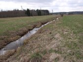 Parduodami dalimis arba kartu du (1 Ha ir 1 - nuotraukos Nr. 4