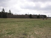 Parduodami dalimis arba kartu du (1 Ha ir 1 - nuotraukos Nr. 5