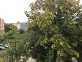 Palangos centre siūlau ilgalaikę apartamentų - nuotraukos Nr. 6