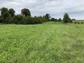 Parduodamas žemės ūkio paskirties sklypas - nuotraukos Nr. 3