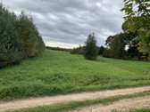 Parduodamas žemės ūkio paskirties sklypas - nuotraukos Nr. 4