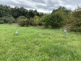 Parduodamas žemės ūkio paskirties sklypas - nuotraukos Nr. 5