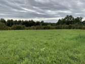 Parduodamas žemės ūkio paskirties sklypas - nuotraukos Nr. 7