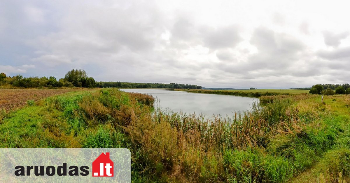 Skelbimai: lankomiausias Lietuvoje pardavimo, nuomos ir kitų skelbimų portalas - Skelbiu.lt